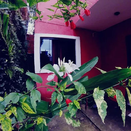 Casa Do Aventureiro Vila Ilha Grande Exterior foto